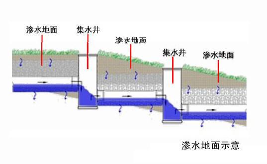 植物与雨水收集